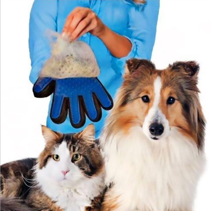 Grooming glove in use on a dog's coat