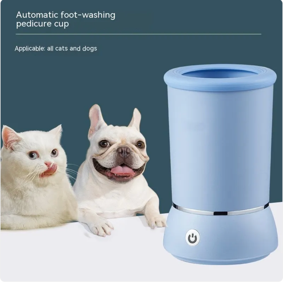 Doodle paw care at home